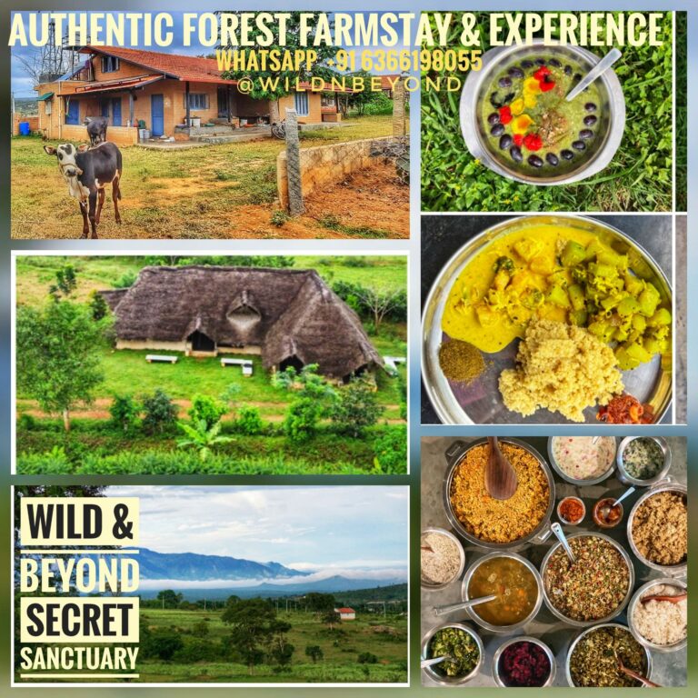 Authentic Forest Farm Stay Experience