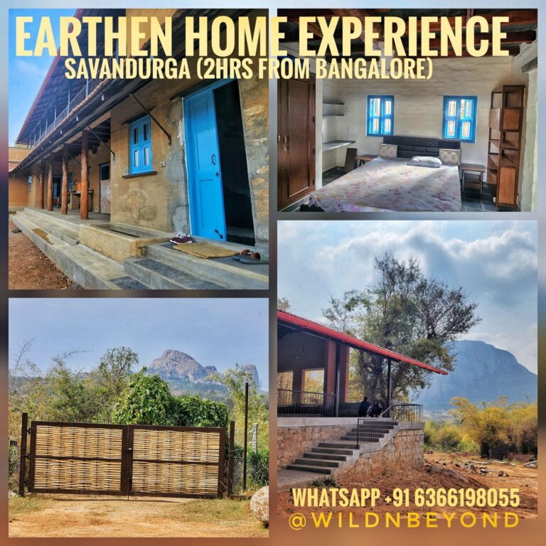 Earthen Home Experience
