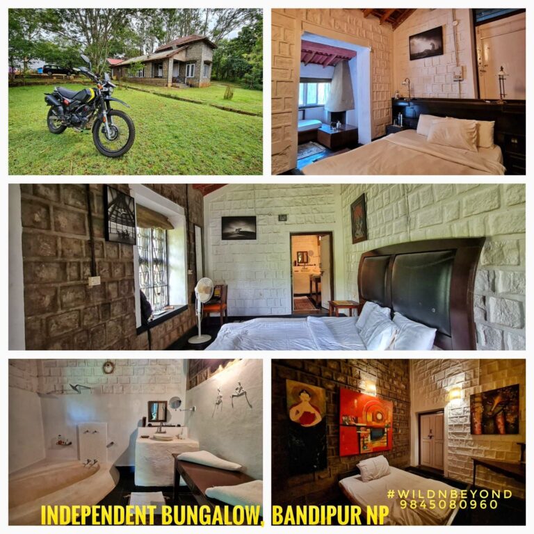Independent Bungalow Bandipur NP