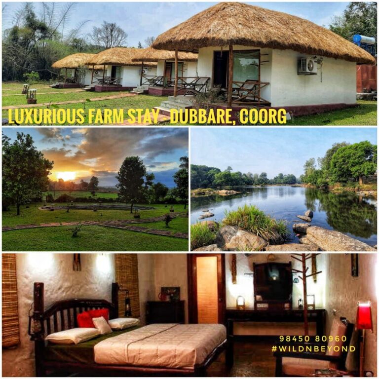 Luxurios Farm Stay Dubbare Coorg
