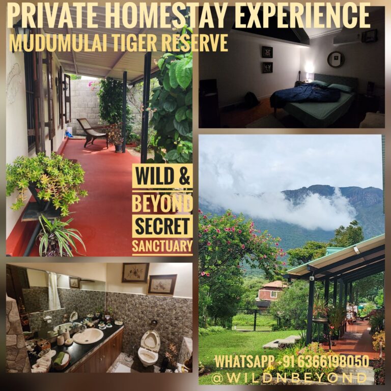 Private Home Stay Experience